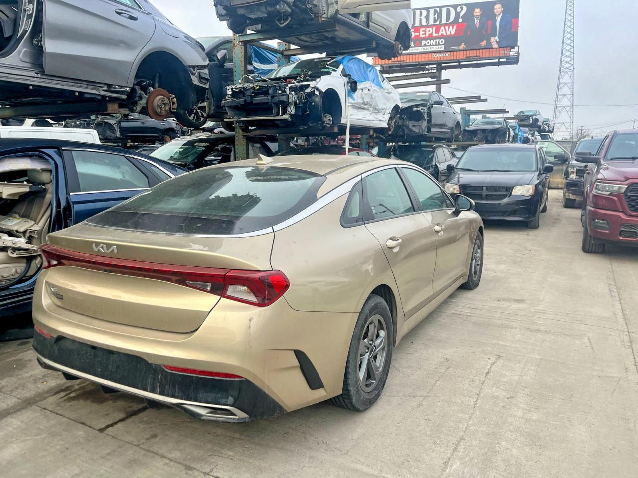 2022 KIA K5