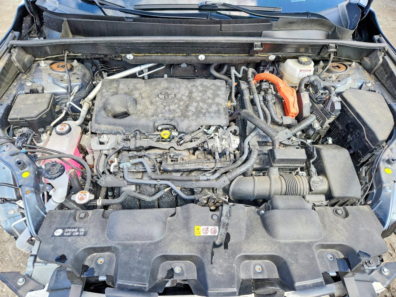 2023 TOYOTA VENZA
