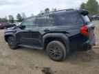 2025 TOYOTA 4Runner