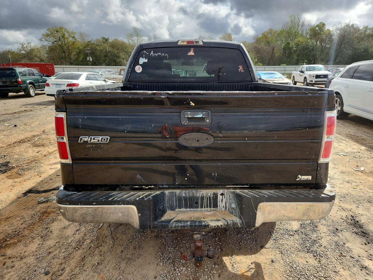 2010 FORD F-150 Lightning