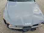 2024 KIA K5
