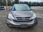 2010 HONDA CR-V