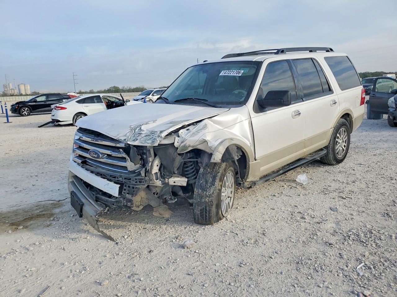 2010 FORD Expedition