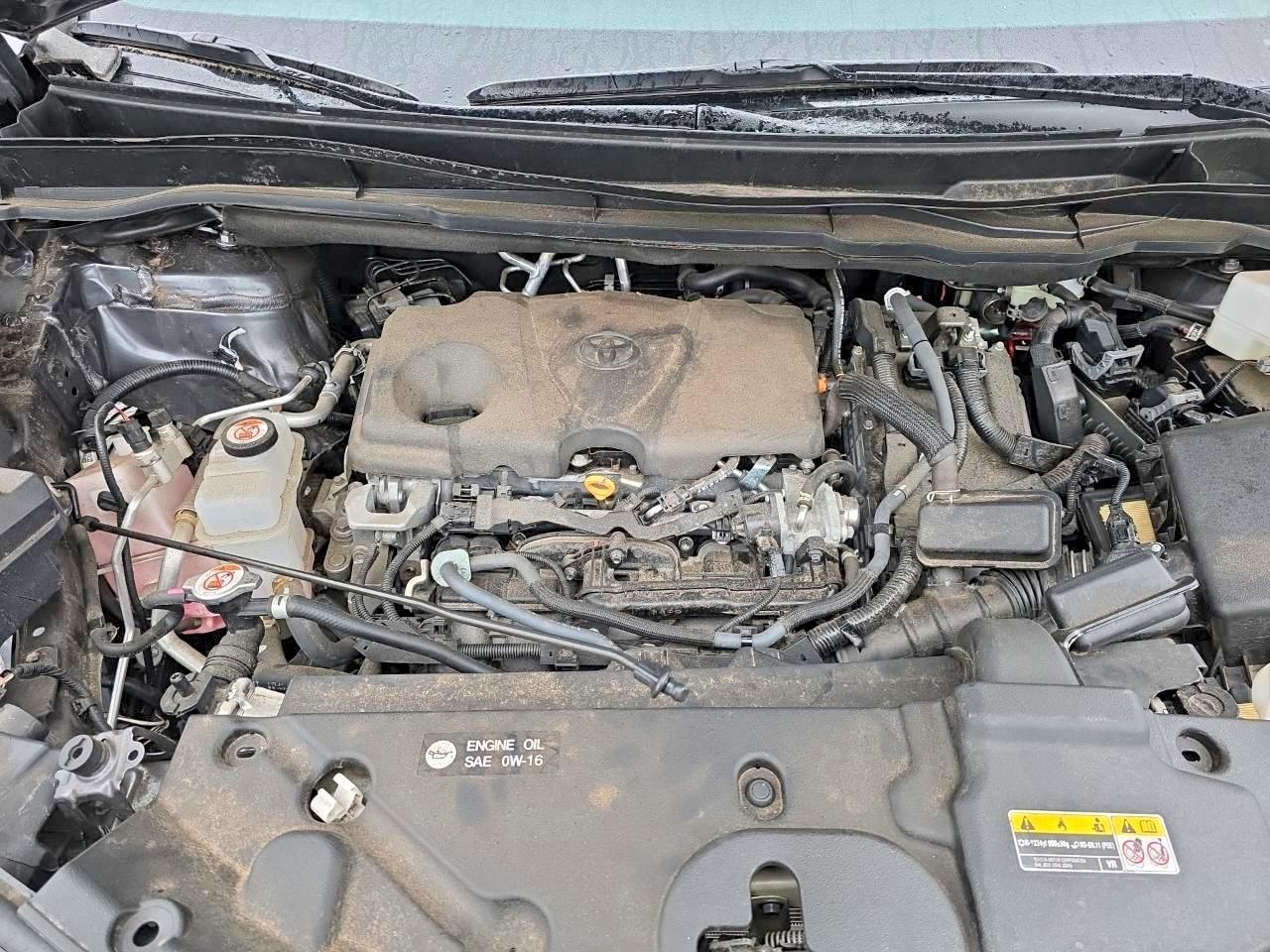 2025 TOYOTA SIENNA