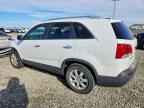 2013 KIA SORENTO