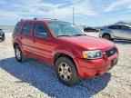 2006 FORD ESCAPE