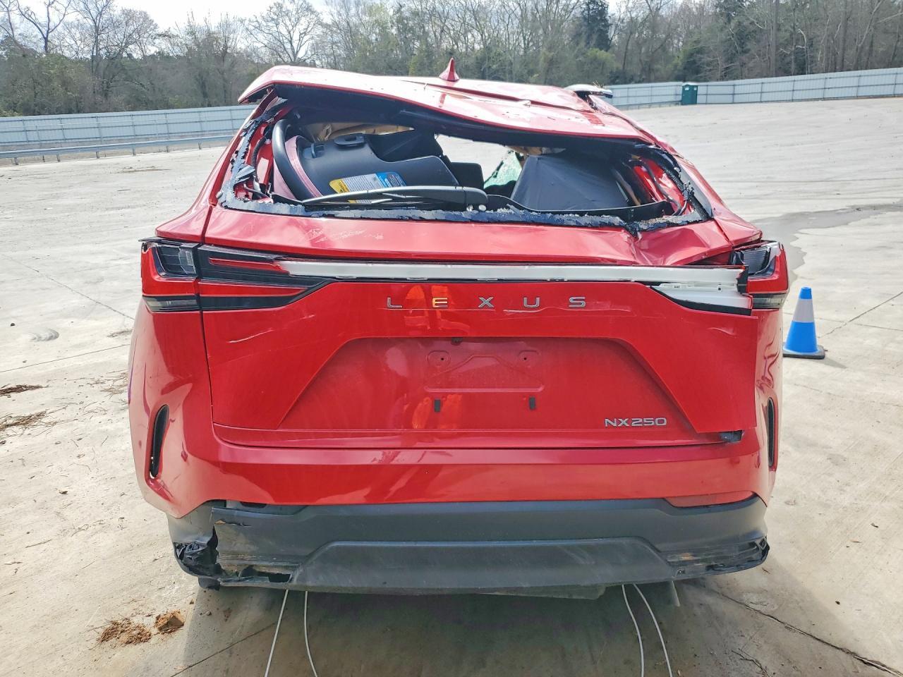 2024 LEXUS NX 250