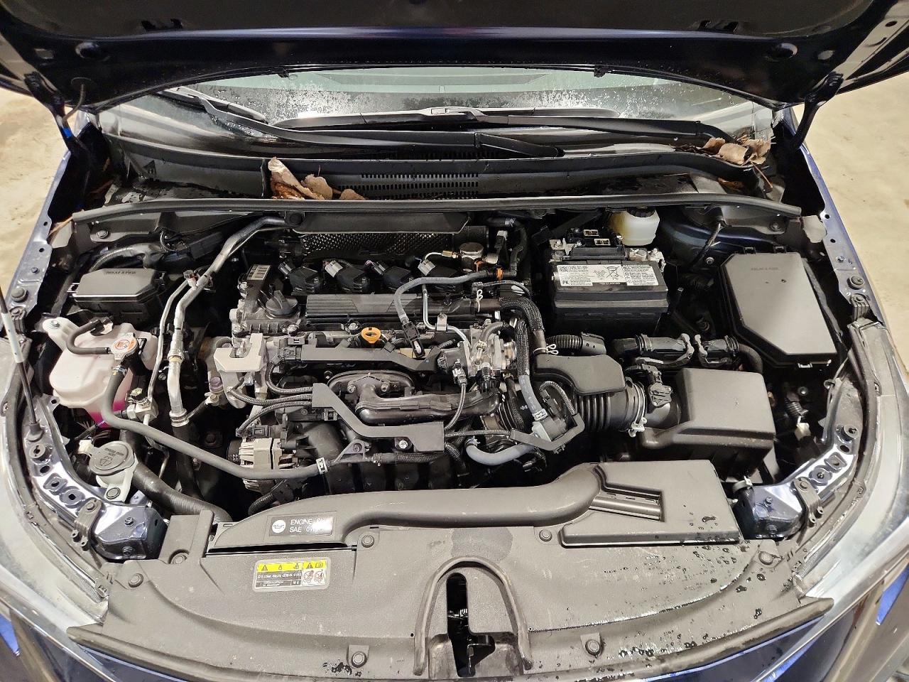 2025 TOYOTA COROLLA