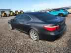 2008 LEXUS LS 460