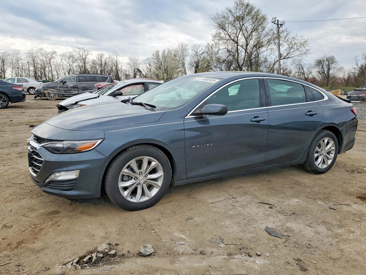 2019 CHEVROLET MALIBU