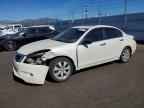 2010 HONDA ACCORD