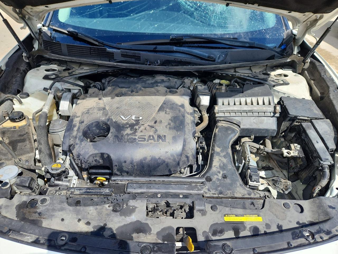 2019 NISSAN Maxima