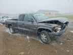 2002 DODGE Dakota