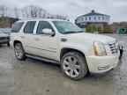 2008 CADILLAC ESCALADE