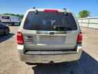 2008 FORD ESCAPE