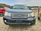2013 LEXUS GX 460