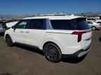 2026 KIA Carnival