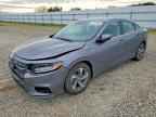 2019 HONDA Insight
