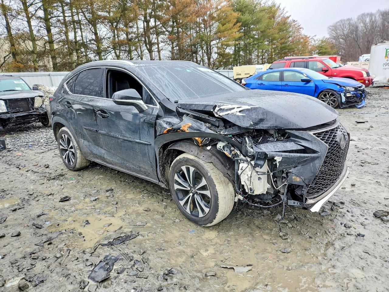 2018 LEXUS NX 300
