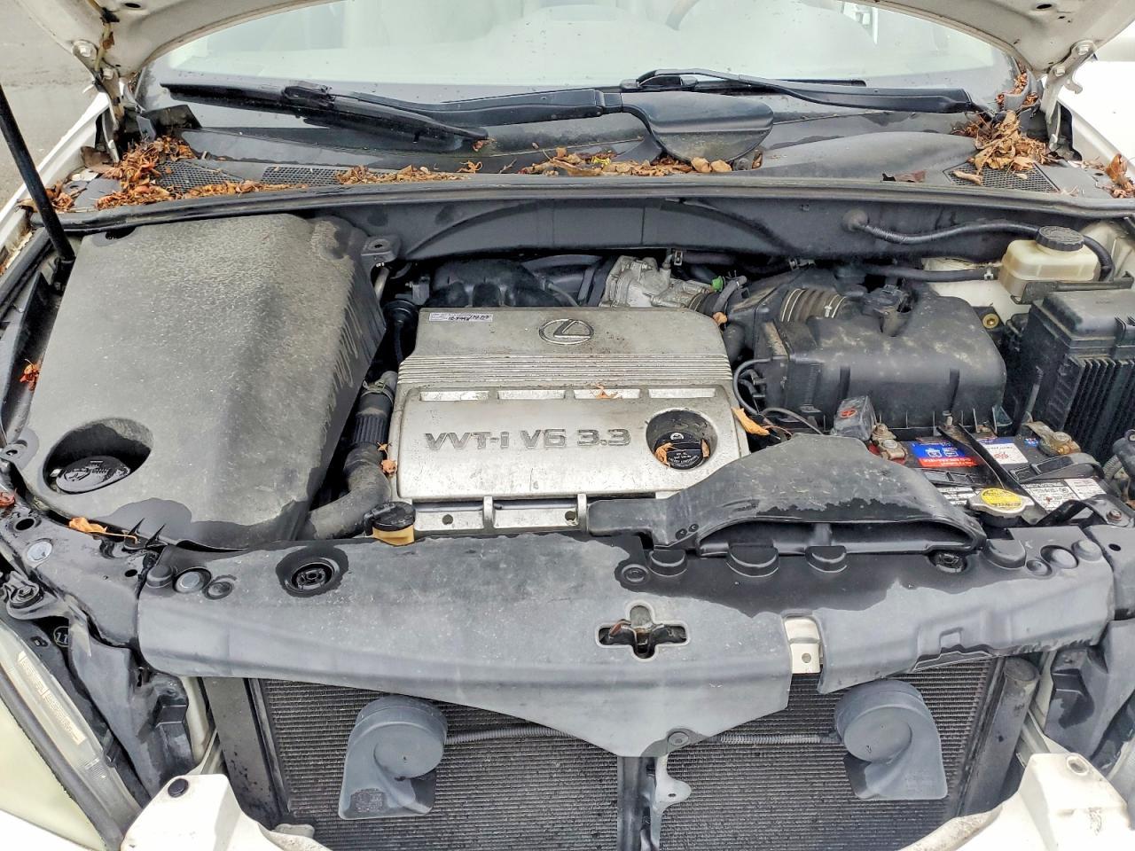 2004 LEXUS Rx 330