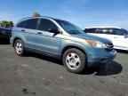 2010 HONDA CR-V