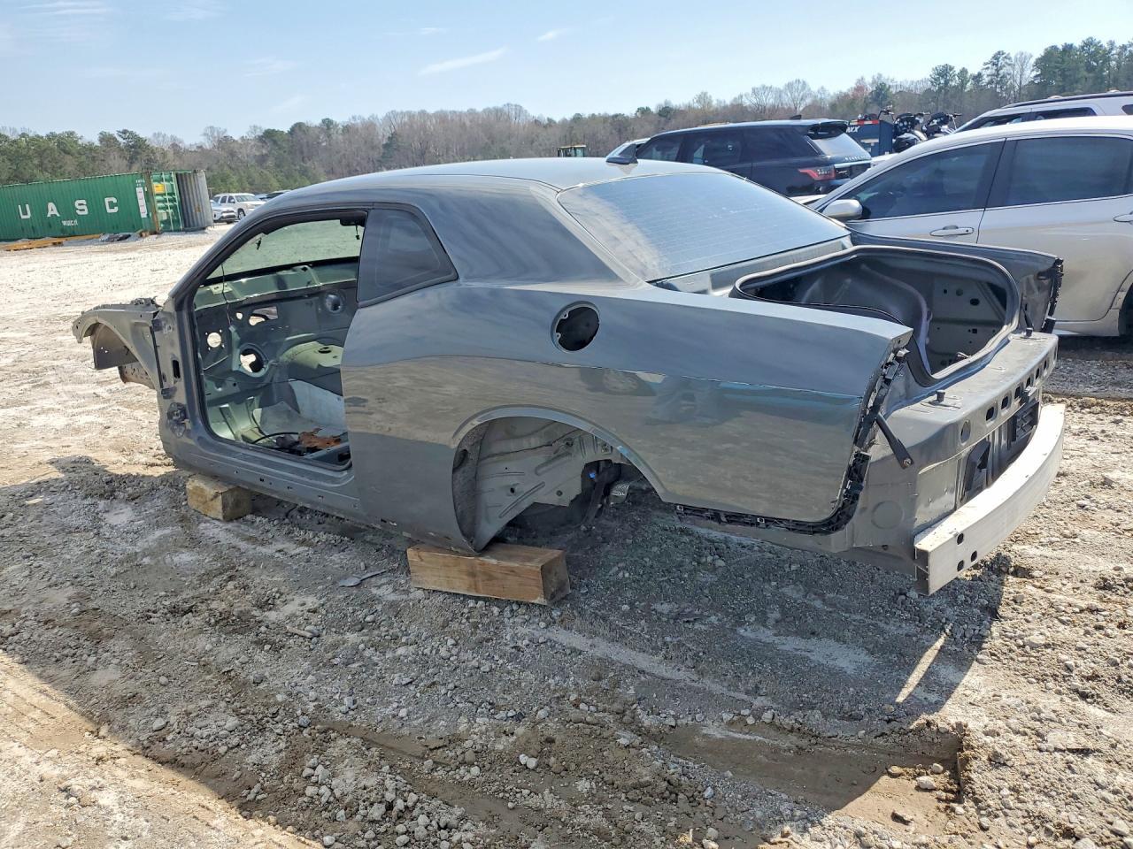 2019 DODGE Challenger