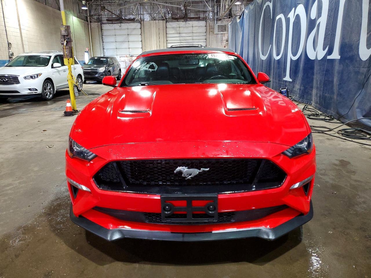 2019 FORD MUSTANG