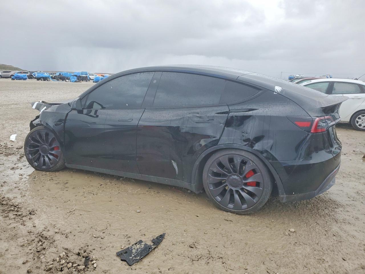 2025 TESLA MODEL Y