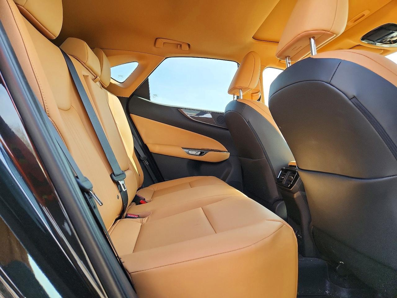 2024 LEXUS NX 350