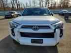 2024 TOYOTA 4Runner
