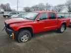 2004 DODGE Dakota