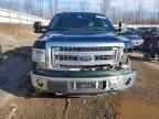 2013 FORD F-150 Lightning