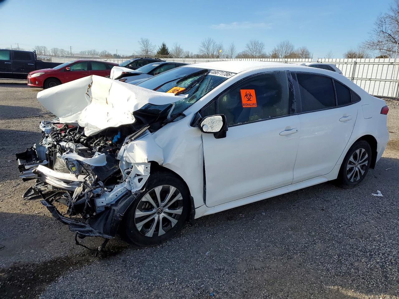 2025 TOYOTA COROLLA