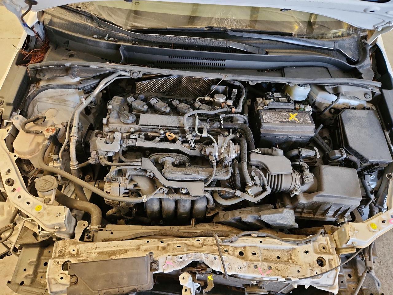 2023 TOYOTA COROLLA