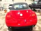 2005 VOLKSWAGEN Beetle