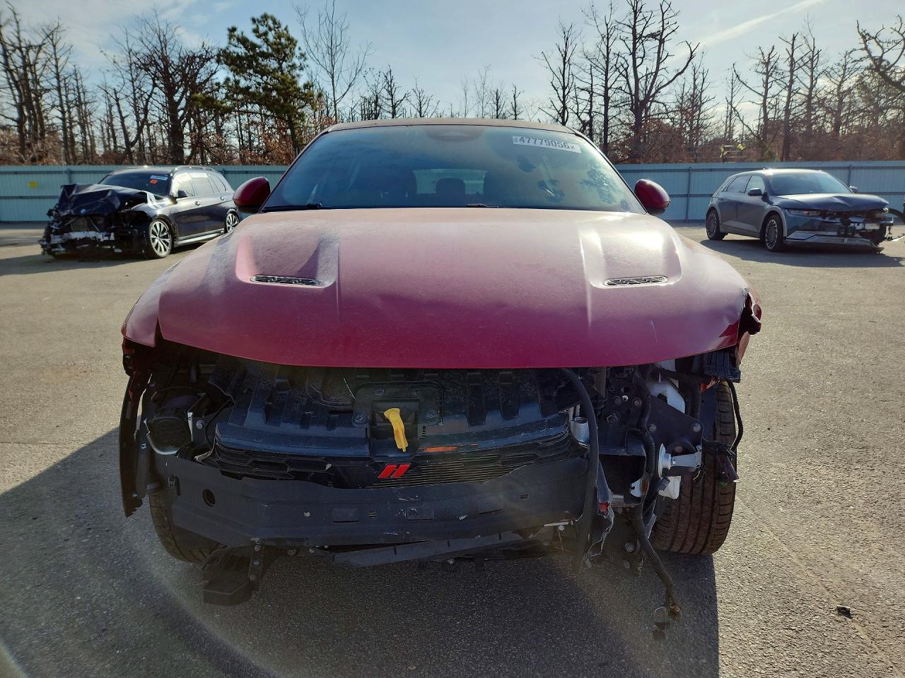 2024 DODGE Hornet