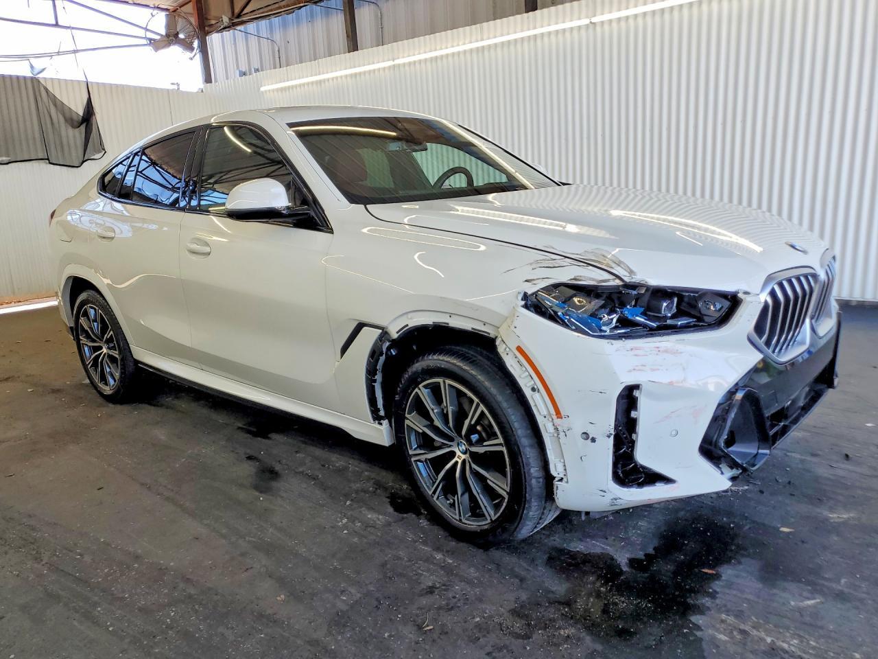 2026 BMW X6