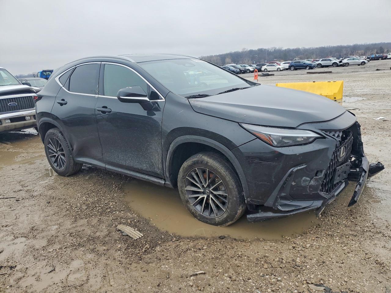 2023 LEXUS NX 350