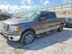 2012 FORD F-150 Lightning
