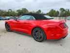 2023 FORD MUSTANG