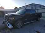 2013 FORD F-150 Lightning