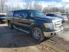 2013 FORD F-150 Lightning