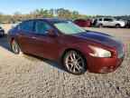 2010 NISSAN Maxima