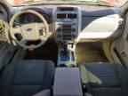 2009 FORD ESCAPE