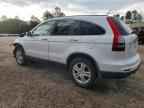 2010 HONDA CR-V