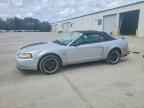 1999 FORD MUSTANG