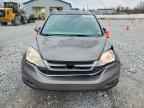2010 HONDA CR-V