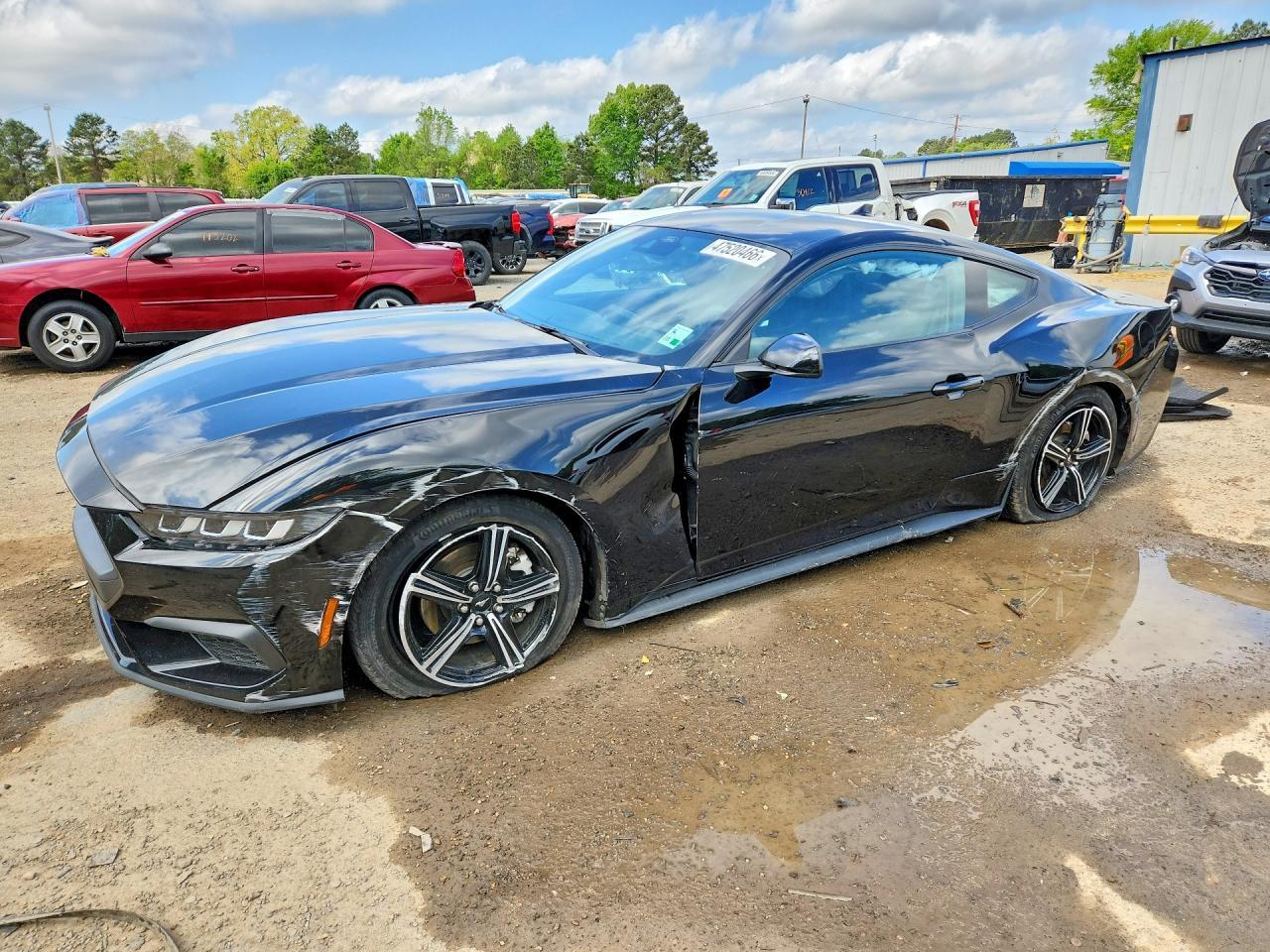 2024 FORD MUSTANG