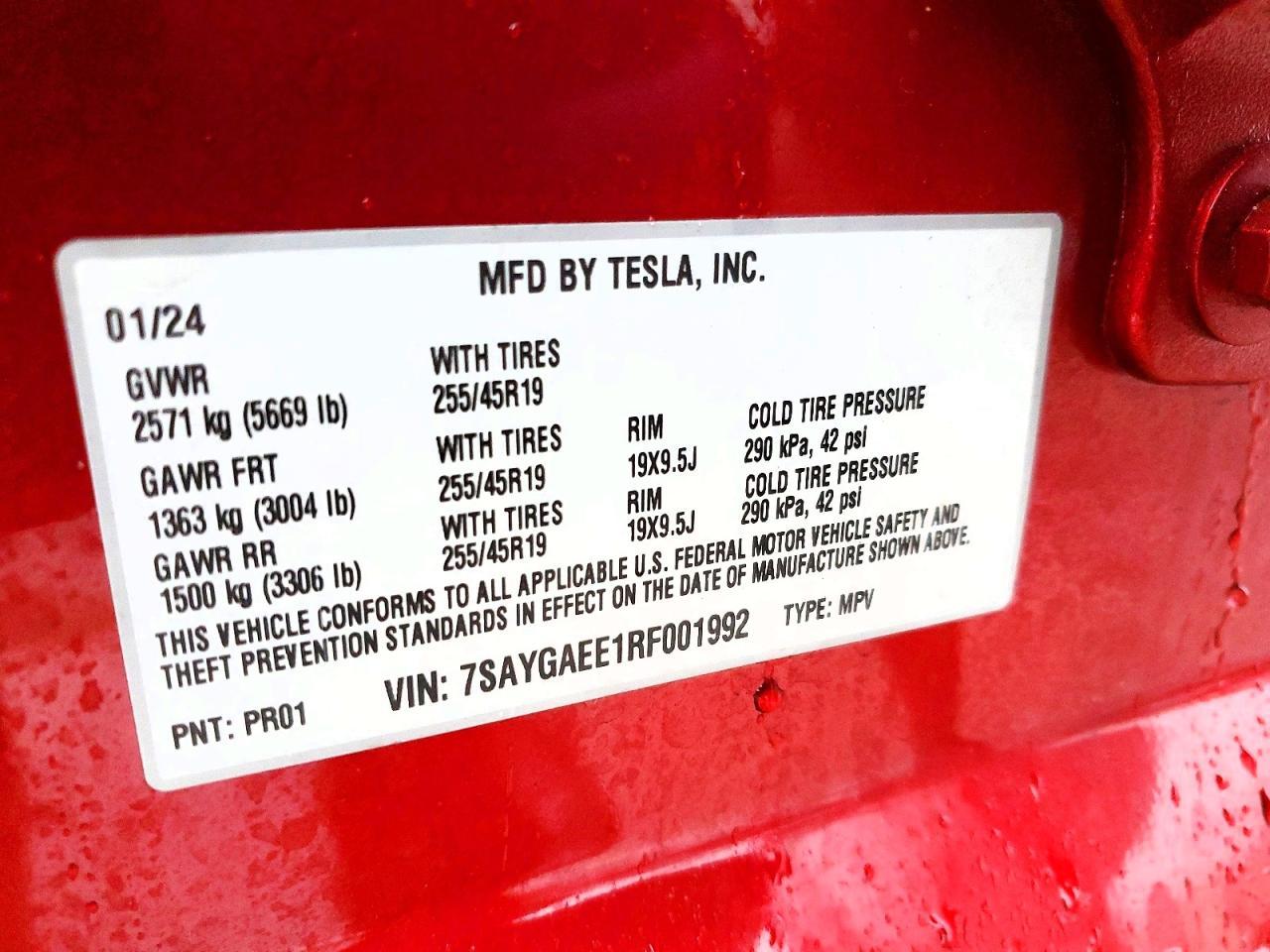 2024 TESLA MODEL Y