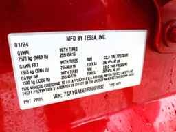 2024 TESLA MODEL Y